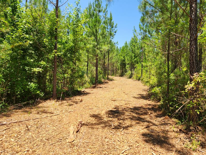 Lake Country, Hunting & Homesite : Monticello : Jasper County : Georgia