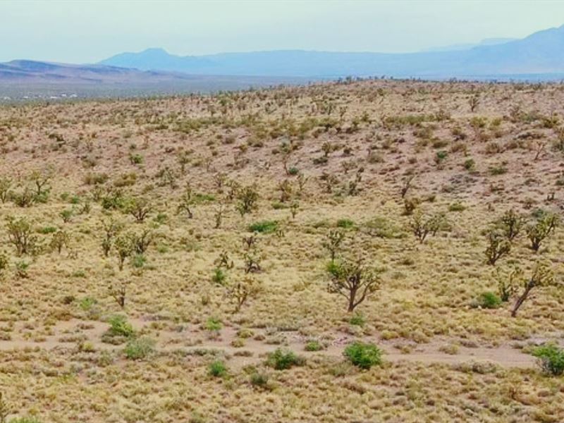 High Desert Near Mountain Views : Dolan Springs : Mohave County : Arizona