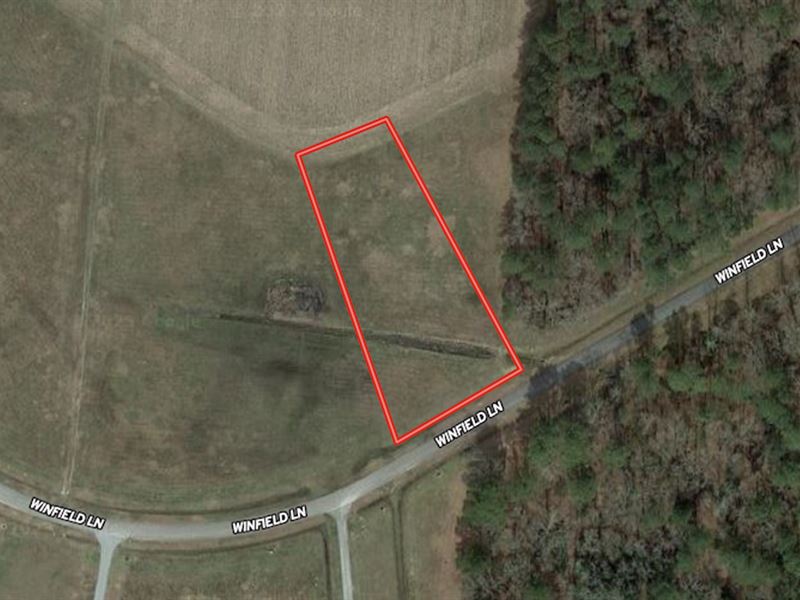1.25 Acres of Residential Land : Pinetown : Beaufort County : North Carolina