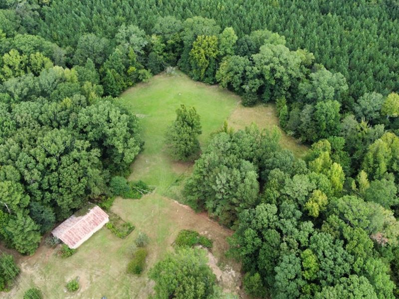 21 Acres with A Home in Attala Coun : Kosciusko : Attala County : Mississippi
