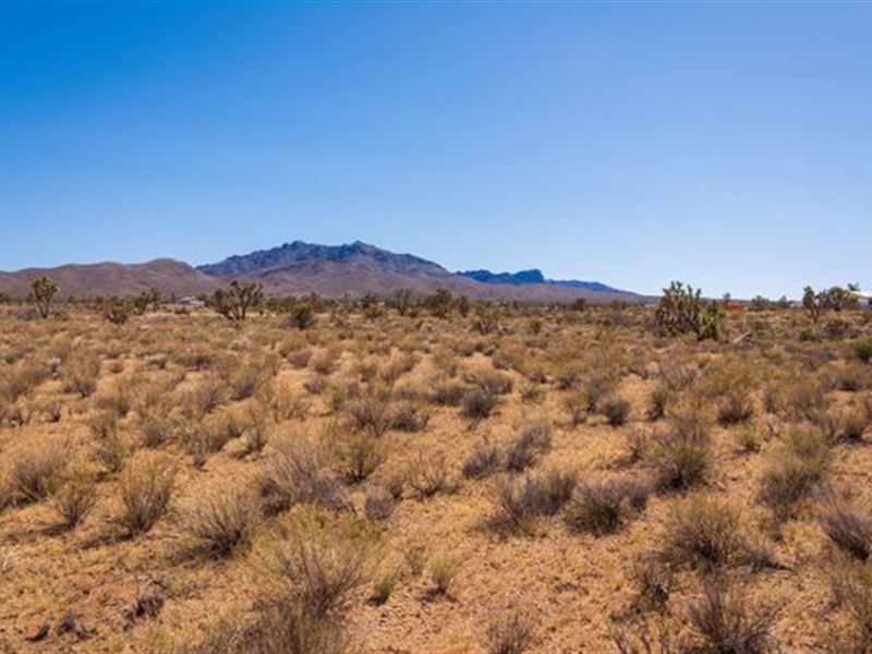 Only $100 Down for This 2.35 Acres : Yucca : Mohave County : Arizona