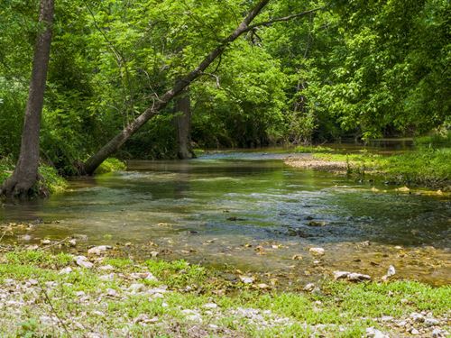 670 Acres with Live Water Springs : Tahlequah : Cherokee County : Oklahoma