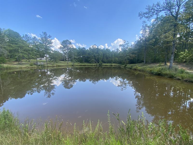 Sleepy Hollow Property : Chatom : Washington County : Alabama