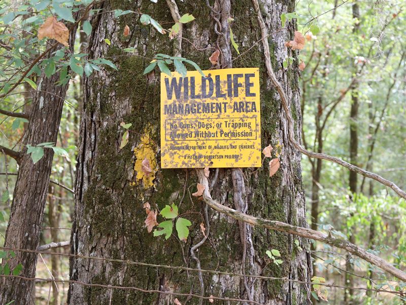 La, Caldwell 11.35 Acres : Columbia : Caldwell Parish : Louisiana