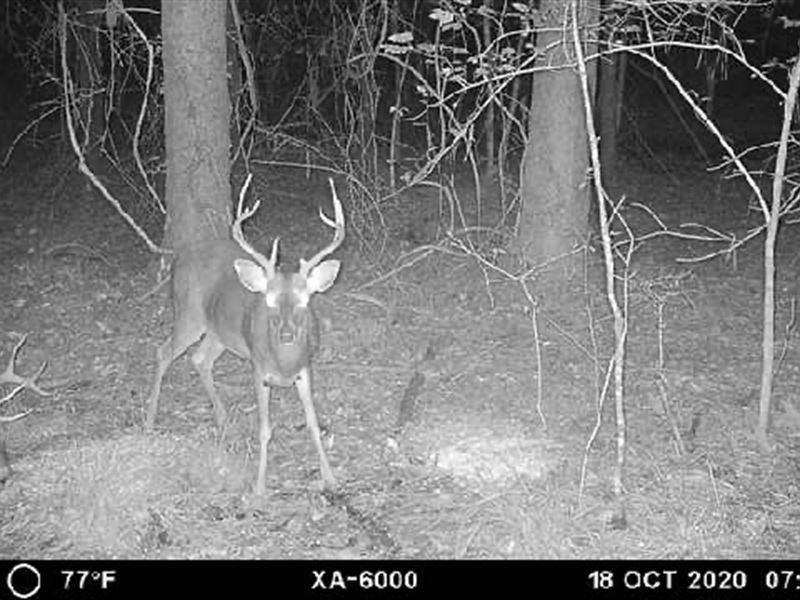 La, Ouachita 42 Acres : Monroe : Ouachita Parish : Louisiana