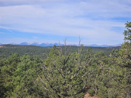 223, 224 & 225 Rancho LA Gari : Weston : Las Animas County : Colorado