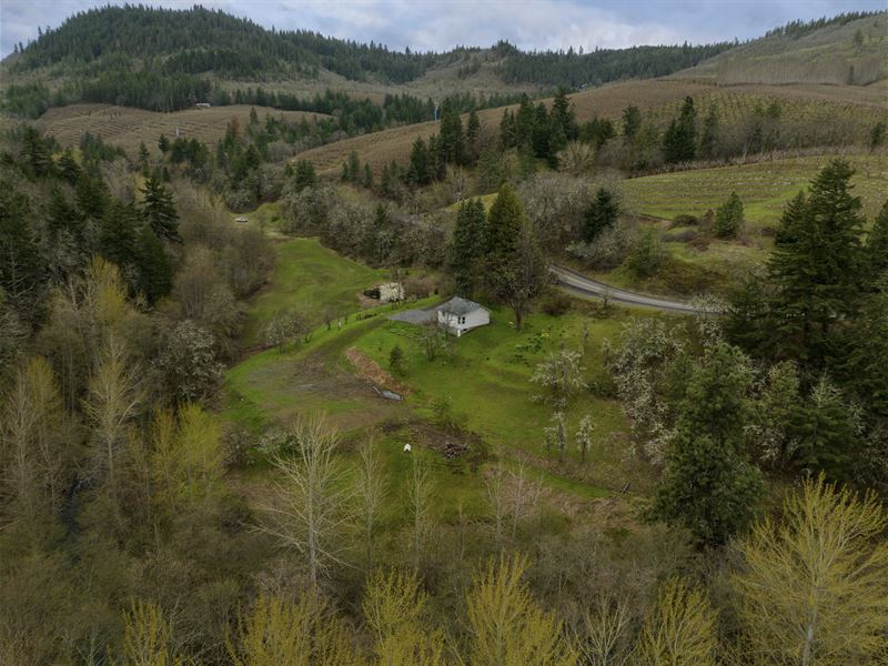 One-Of-A-Kind Legacy Property : Mosier : Wasco County : Oregon
