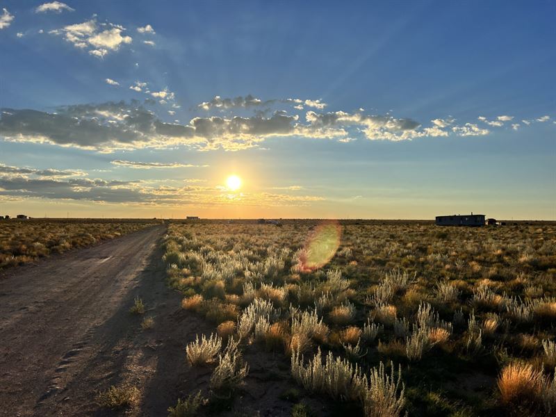 Have Your Off-Grid Arizona Getaway : Williams : Coconino County : Arizona