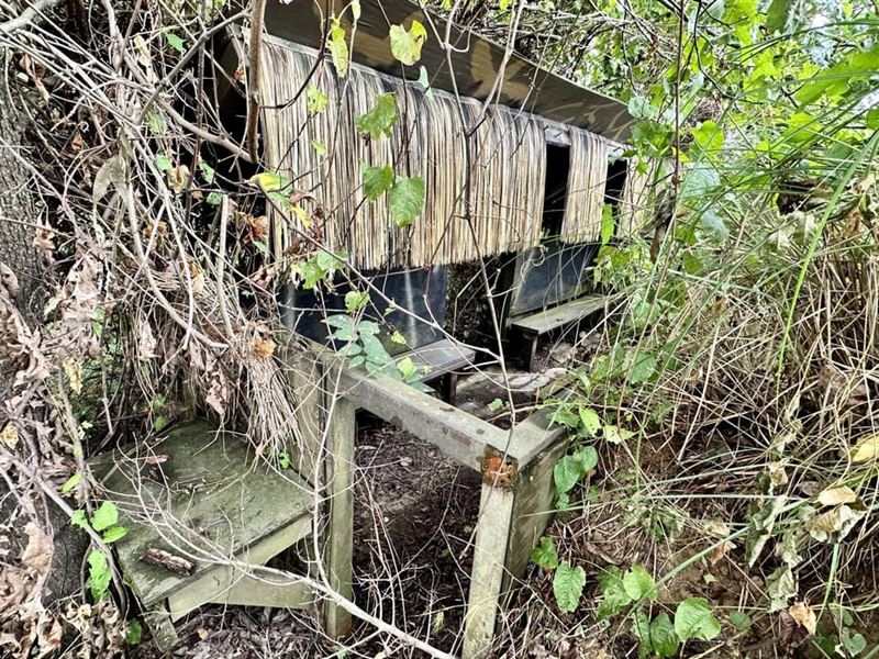 Crippled Mallard Hunting Club Inter : Judsonia : White County : Arkansas