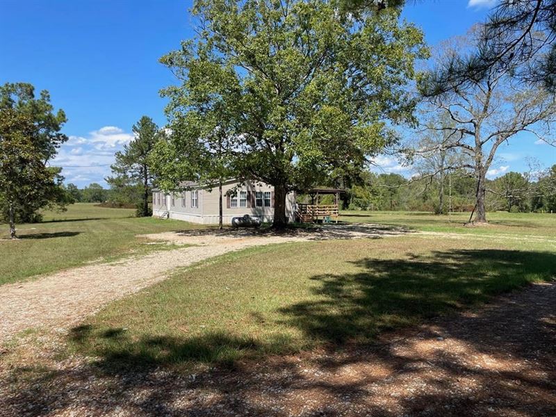 Home and Pasture Property for Sale : McComb : Pike County : Mississippi