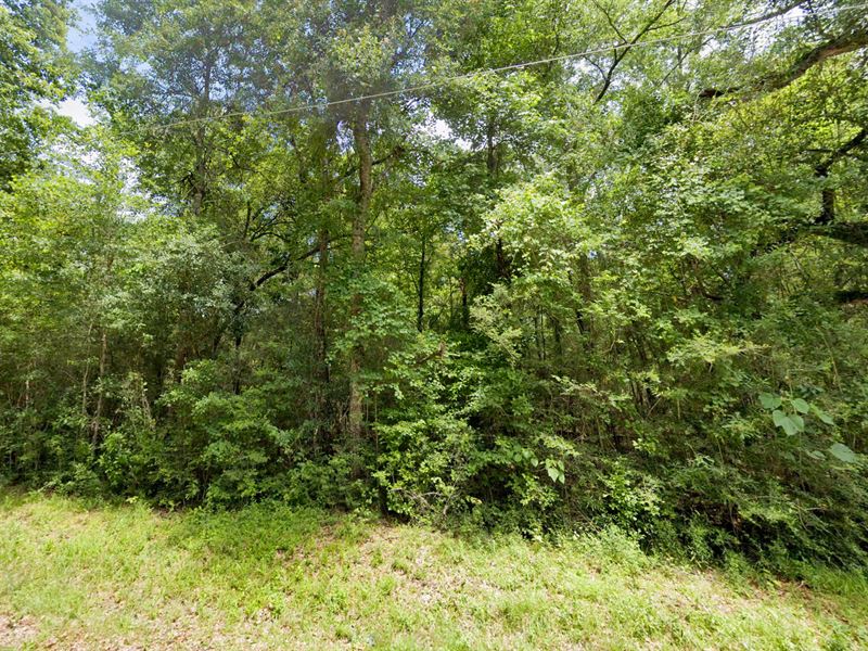 Unrestricted, Seller Financing Avbl : Angie : Washington Parish : Louisiana