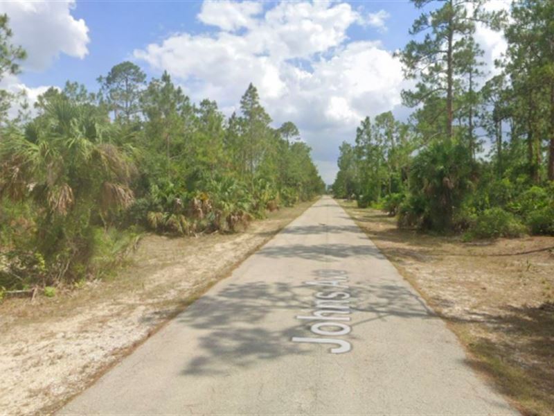 Half Acre Land in Lehigh Acres, FL : Alva : Lee County : Florida