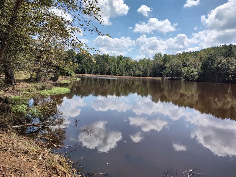 Red River Headwaters : Troy : Pike County : Alabama