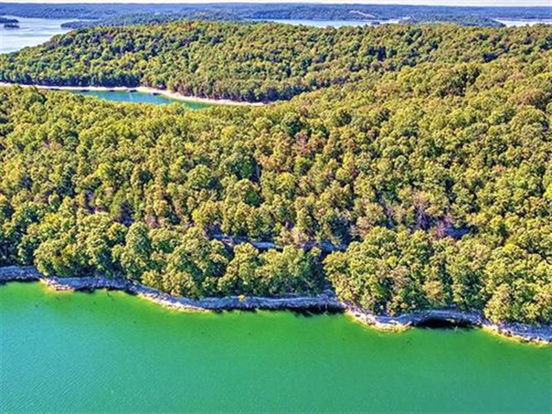 Enjoy The Thrills of Life in AR : Bella Vista : Benton County : Arkansas