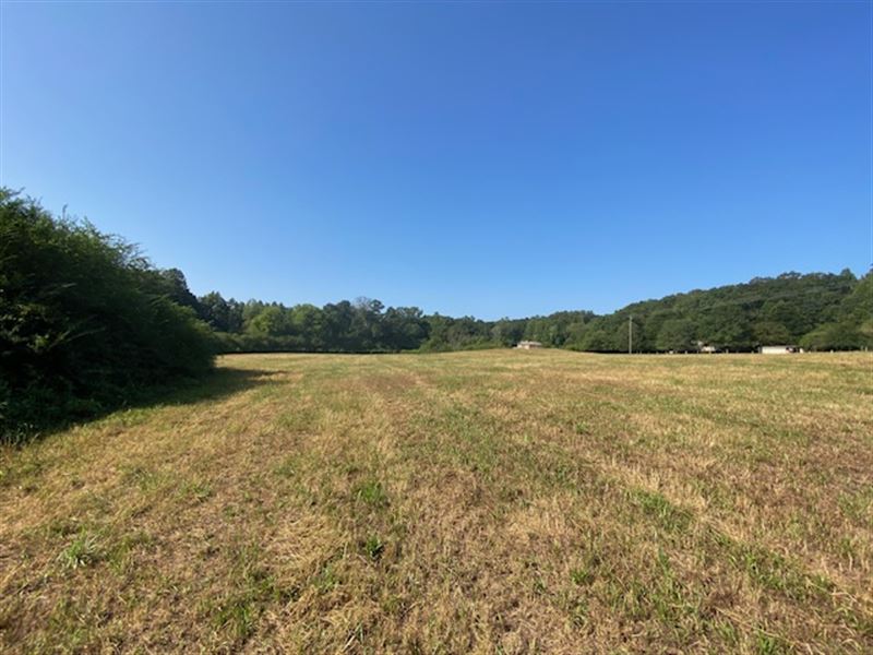 3.22 Acres, Near Pell City, AL : Pell City : Saint Clair County : Alabama
