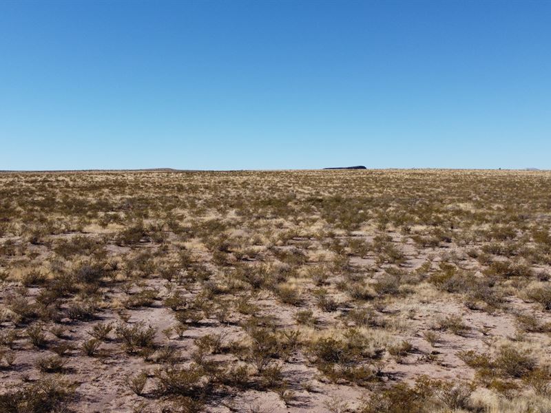 Open 20 Acre Plot, Mountain Views : Sierra Blanca : Hudspeth County : Texas