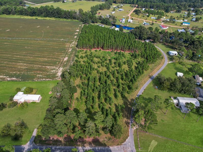 8.11 Acres, Walker Ln, Lake Mayers : Baxley : Appling County : Georgia