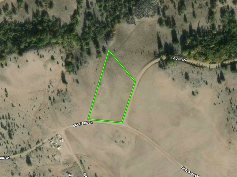 Prime 2.8 Acre Lot : Hornbrook : Siskiyou County : California