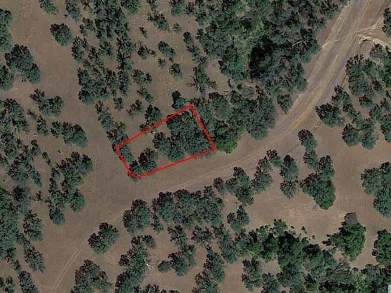 Quarter Acre Lot in Gated Community : Cottonwood : Tehama County : California