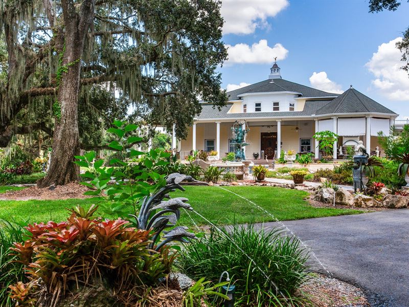 Mizelle Creek Estate Home : Lithia : Hillsborough County : Florida