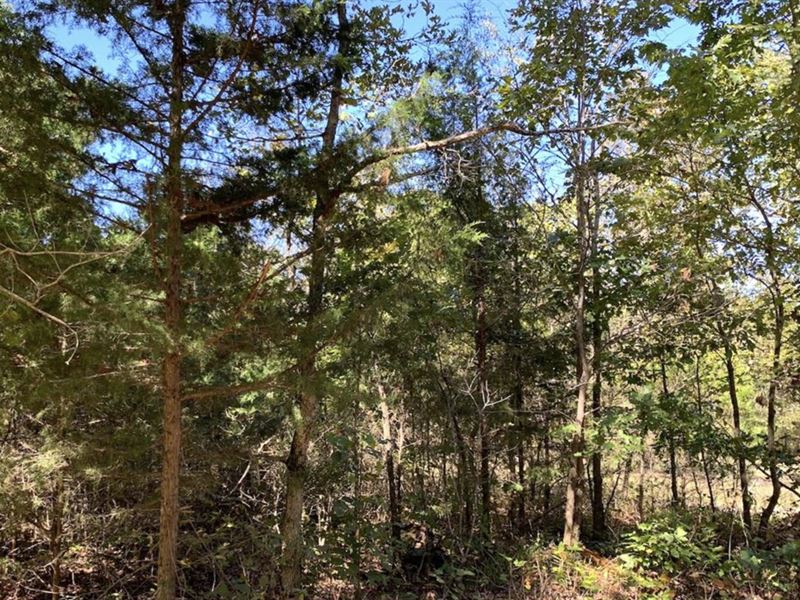 Your Next Investment Oasis in Hardy : Hardy : Fulton County : Arkansas