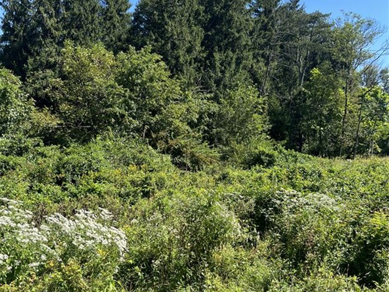 3.47 Acre Building Lot in Exeter : Exeter : Berks County : Pennsylvania
