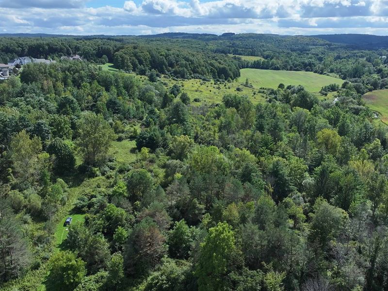 Wooded Building Lot with Room : Pompey : Onondaga County : New York
