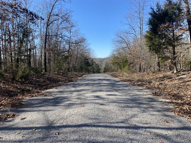 Invest or Retire in AR Just $79/Mo : Horseshoe Bend : Izard County : Arkansas