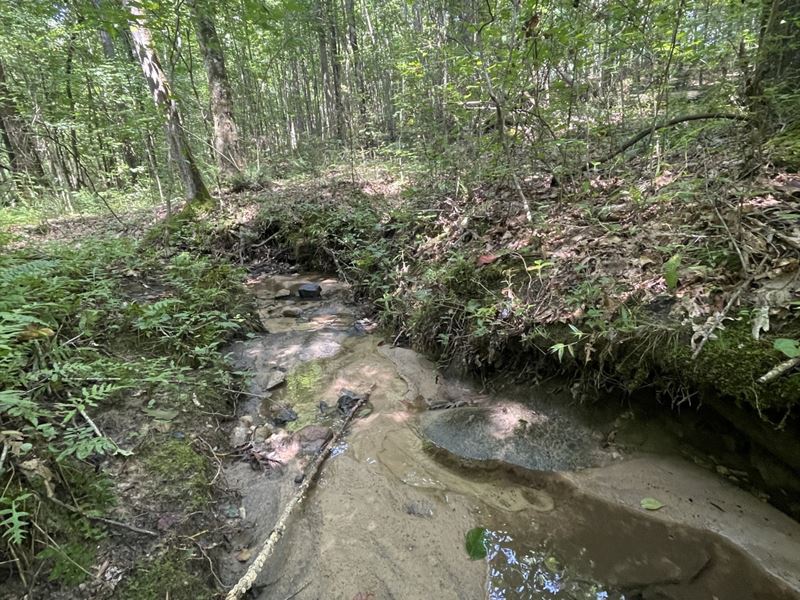 Akins Tract : Roanoke : Randolph County : Alabama