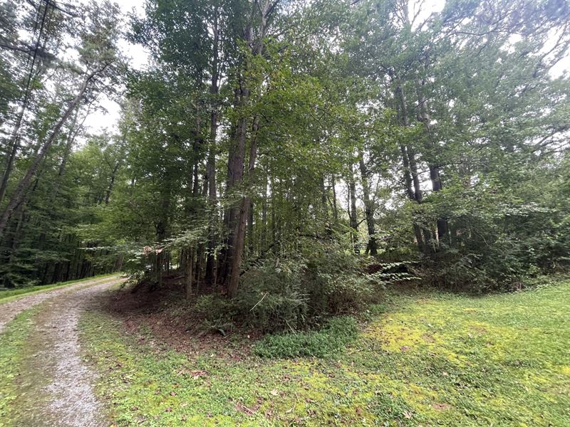Lot in Tallapoosa, GA : Tallapoosa : Haralson County : Georgia