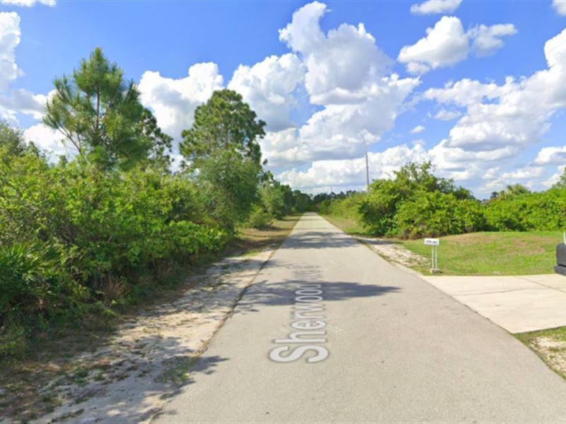 Quarter Acre in Lehigh Acres, FL : Lehigh Acres : Lee County : Florida