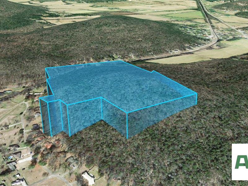 26 Acres of Serene Bliss in Alabama : Woodville : Jackson County : Alabama