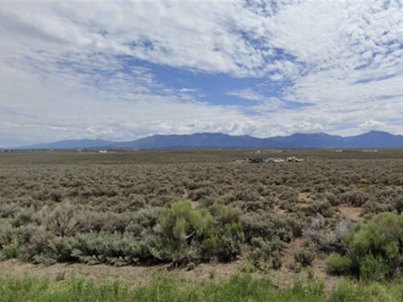 Your Artist Sanctuary, Taos County : Tres Piedras : Taos County : New Mexico