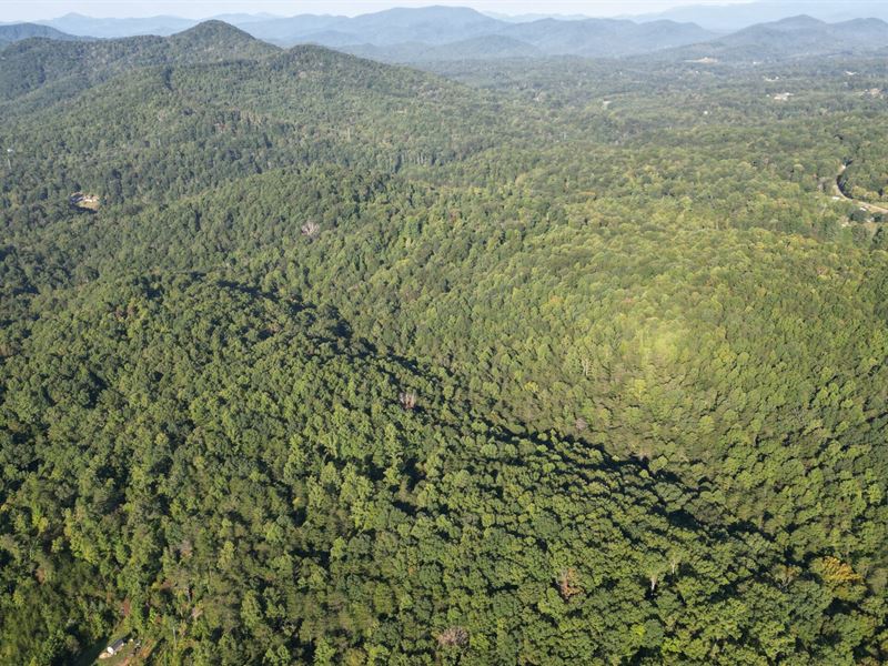 Rhom Town Rd 70 Acres : Marion : McDowell County : North Carolina