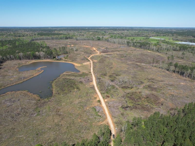 141 Acres in Scott County in Forest : Forest : Scott County : Mississippi
