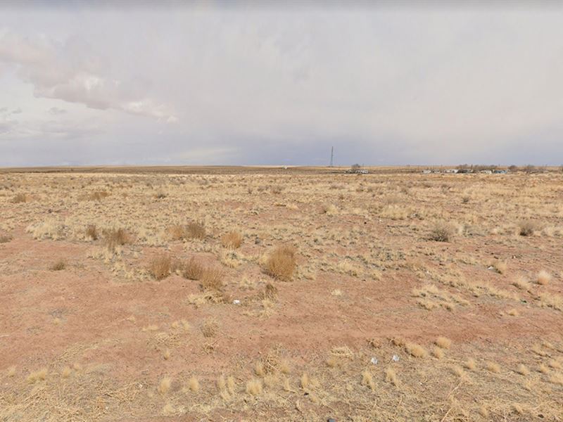 90-Day Same as Cash $499 Down/Mo : Holbrook : Navajo County : Arizona