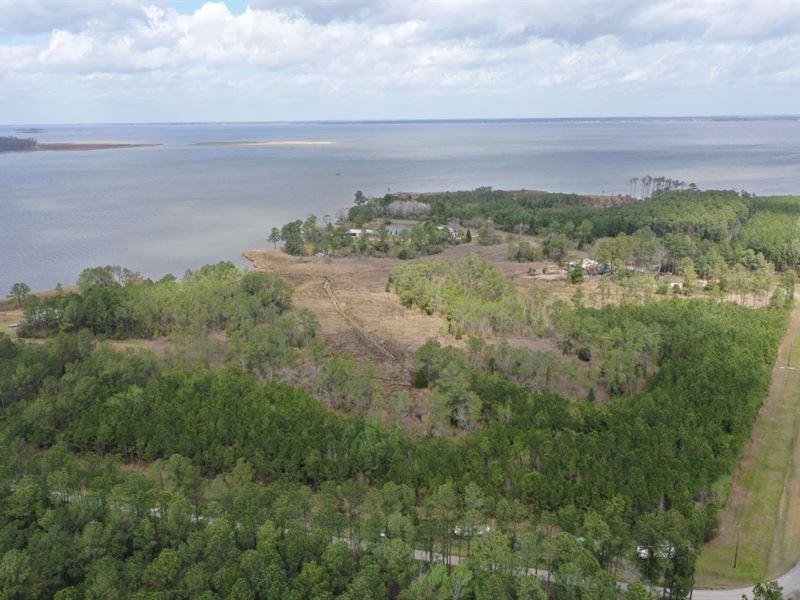 14.45 Acres in Pamlico County, NC : Lowland : Pamlico County : North Carolina