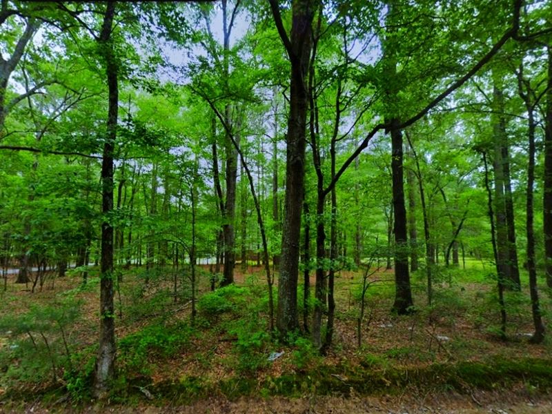Corner Lot Ready To Go : White Hall : Jefferson County : Arkansas