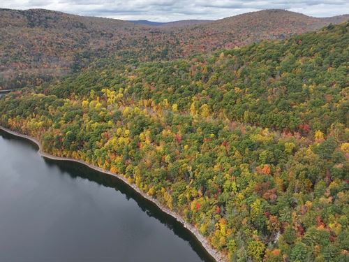 Large Acreage Near The Reservoir : Colchester : Delaware County : New York