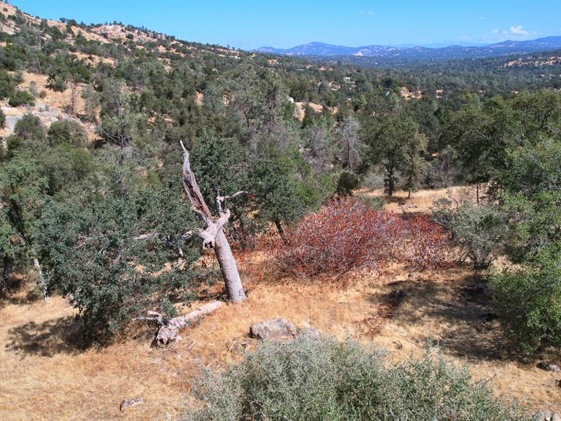 Lowest Price in Development : Coarsegold : Madera County : California