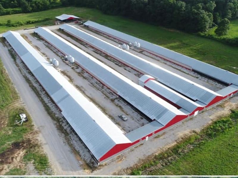Turn-Key Breeder Farm : Phil Campbell : Franklin County : Alabama