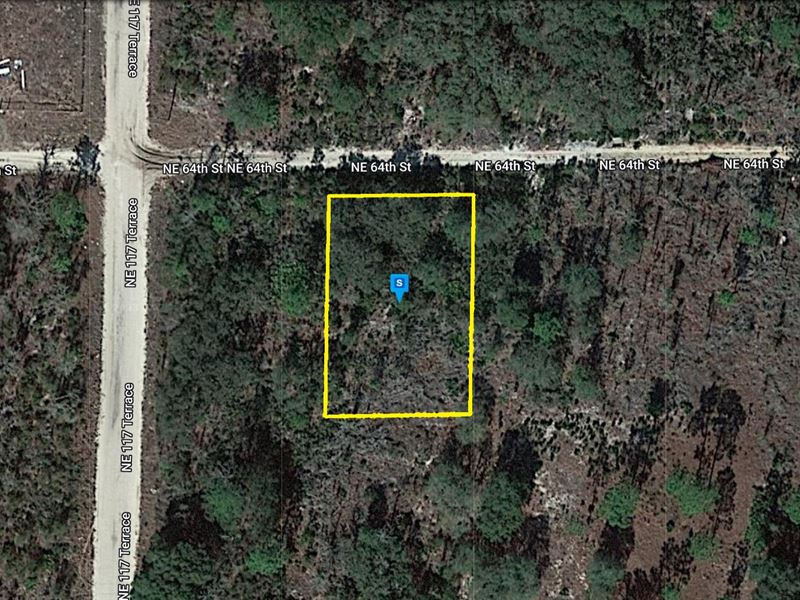 Find Your Dream Land Here : Williston : Levy County : Florida