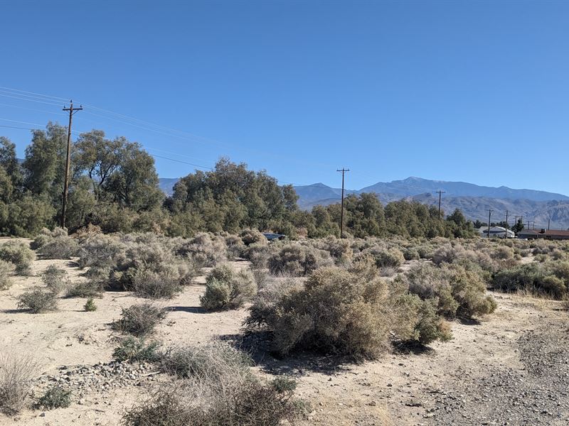 Live The Simple Life in Pahrump : Pahrump : Nye County : Nevada