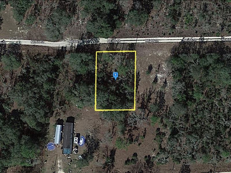 Stunning Land in A Great Location : Williston : Levy County : Florida