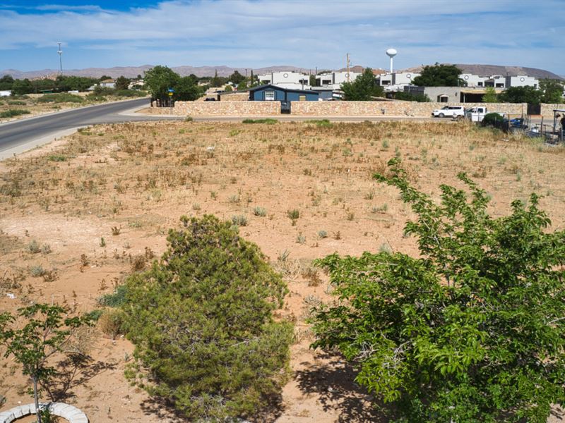 Idyllic 0.41 Ac Lot, El Paso County : El Paso : El Paso County : Texas