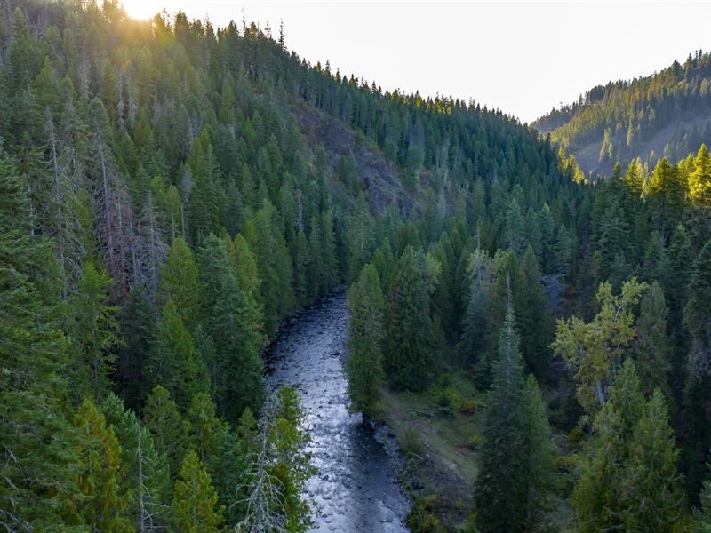 Lolo Creek Tranquility : Weippe : Clearwater County : Idaho