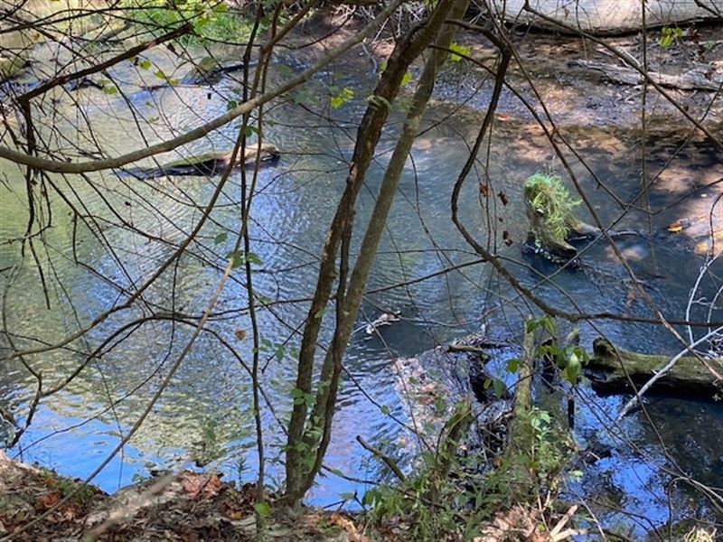 20 Acres On Tangipahoa River in Ami : Summit : Amite County : Mississippi