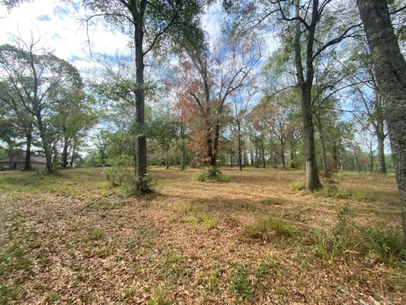 1.7 Acres in Fernwood Country Club : McComb : Pike County : Mississippi