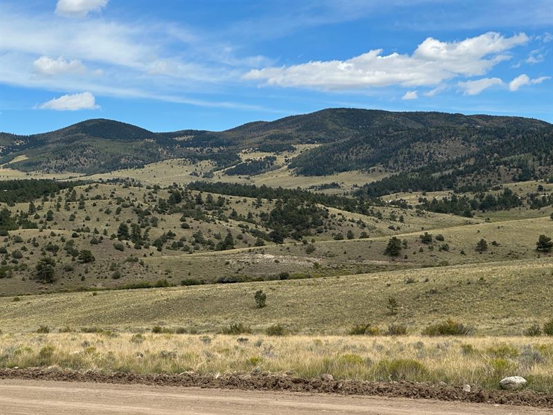 Music Mountain Land : Westcliffe : Custer County : Colorado