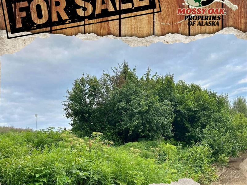Big Lot, 2.23 Acres View of Mountai : Nikiski : Kenai Peninsula Borough : Alaska